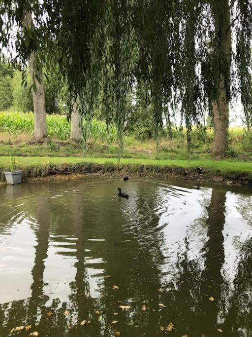 Entre Vallee De La Rance Et Cote D'emeraude